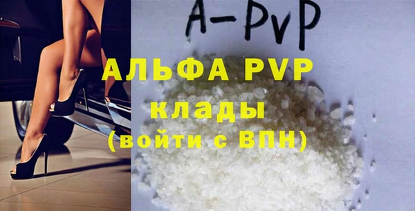 стафф Алексин
