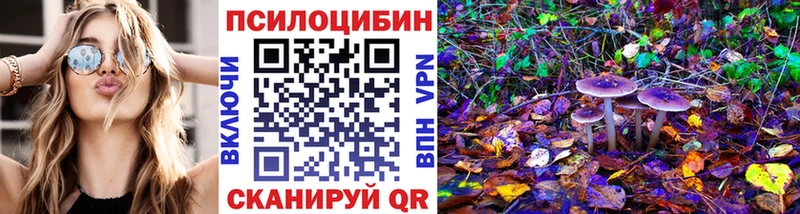 Псилоцибиновые грибы Psilocybe  OMG ссылки  Черепаново  закладки 
